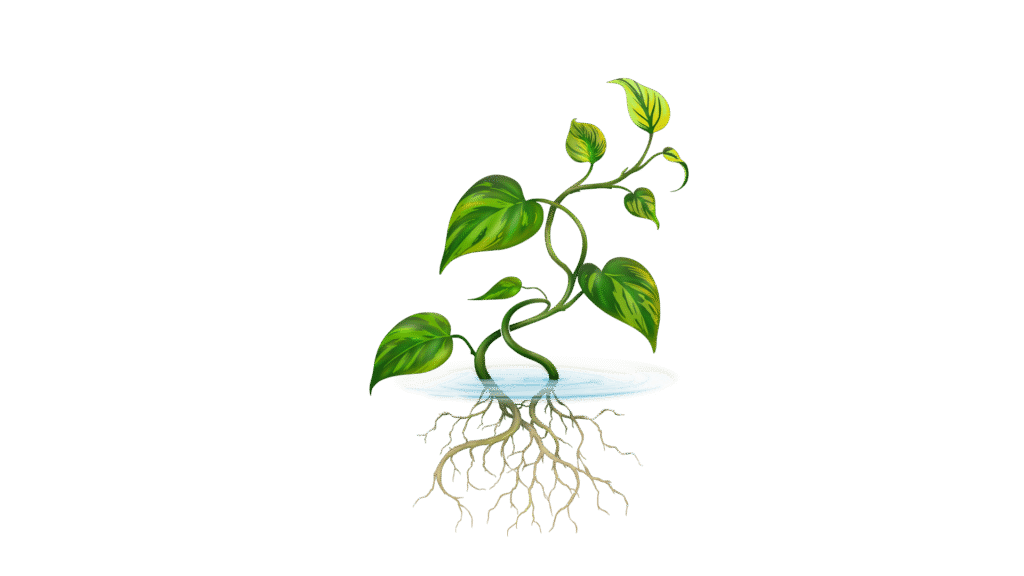 clearbloom logo no text